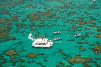 Maracajau Parrachos Reef - Private English Guide